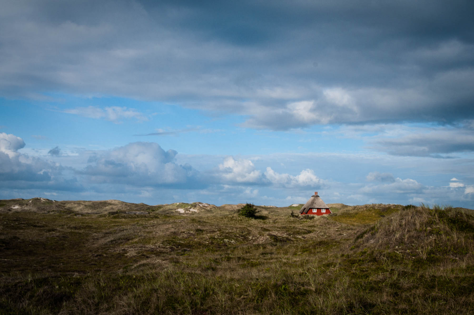 Der Sønder Klitvej im Westen Dänemarks mit seinen kleinen Reed-Häusern