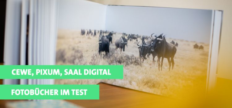 Test: Fotobücher von Cewe, Pixum und Saal Digital im Vergleich Test: Fotobücher von Cewe, Pixum und Saal Digital im Vergleich