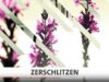 Premiere Pro-Blenden richtig einsetzen