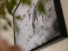 Test: Wandbilder von PosterXXL, Fotoparadies und Saal Digital im Vergleich