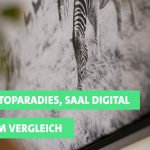 Test: Wandbilder von PosterXXL, Fotoparadies und Saal Digital im Vergleich