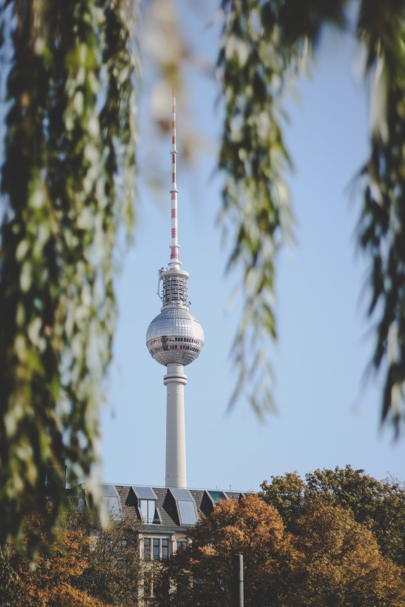 Der Fernsehturm in Berlin durch Blätter fotografiert
